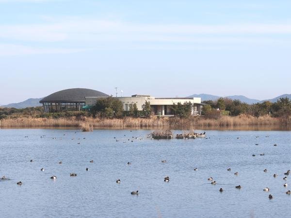 🏞️ 신코산교 키라라하마 자연관찰공원